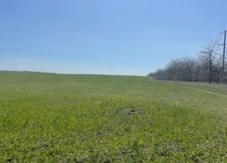 Продаю земельный участок, 1497.7 сот., Новосельское сельское поселение