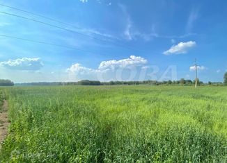 Продаю участок, 1370 сот., село Яр, улица Ленина