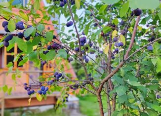 Продам дом, 33 м2, территория Максаковское