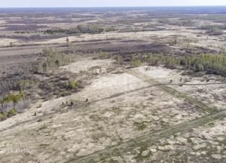 Продаю участок, 1000 сот., село Борки, Романовская улица