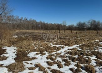 Продажа земельного участка, 14 сот., село Васильевка, Набережная улица