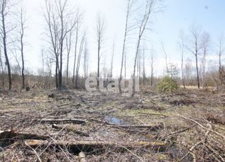 Продаю участок, 19.47 сот., деревня Мандрино