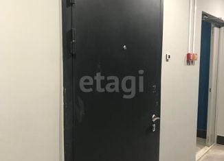 Продам квартиру студию, 26 м2, Санкт-Петербург, муниципальный округ Гавань, улица Вадима Шефнера, 4