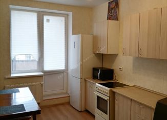 Сдам в аренду однокомнатную квартиру, 37.6 м2, деревня Кудрово, Областная улица, 1