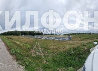 Продаю земельный участок, 15 сот., село Красный Яр, Береговая улица