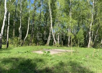 Продам участок, 35 сот., деревня Ивановка