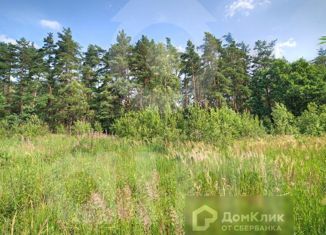 Участок на продажу, 50 сот., деревня Борки