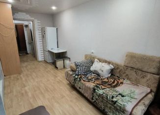 Сдам в аренду квартиру студию, 19 м2, Иркутск, улица Авиастроителей, 28А/2, Ленинский округ