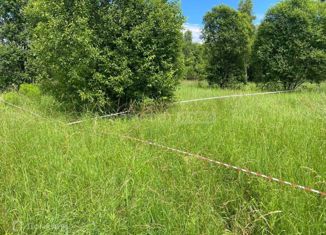 Продам земельный участок, 31 сот., деревня Рындино, деревня Рындино, 17