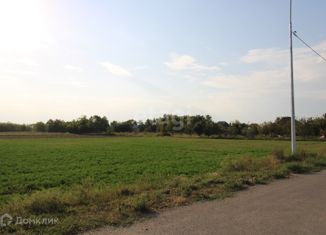 Продажа участка, 335 сот., хутор Шептальский