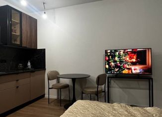 Продаю квартиру студию, 29 м2, Краснодар, улица Александра Покрышкина, 2/2, улица Александра Покрышкина