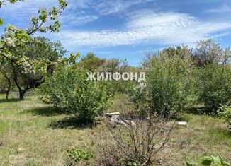 Продажа участка, 6 сот., садоводческое товарищество Протон