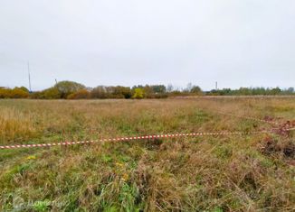 Продаю участок, 9.16 сот., деревня Новая Деревня, Рябиновая улица