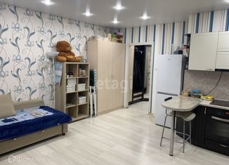 Продается квартира студия, 29.6 м2, Казань, улица Гавриила Державина, 3к2, ЖК Залесный Сити