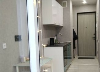 Квартира на продажу студия, 24.7 м2, Екатеринбург, улица Шаумяна, 20, ЖК Южные Кварталы