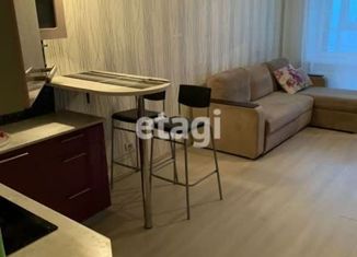 Продается квартира студия, 24.6 м2, Санкт-Петербург, проспект Обуховской Обороны, 138к2, метро Обухово