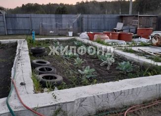 Продам участок, 15 сот., деревня Крохалевка, улица Мира