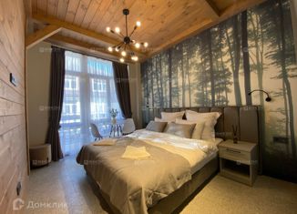 Квартира на продажу студия, 25 м2, село Эсто-Садок, Омеловая улица, 41