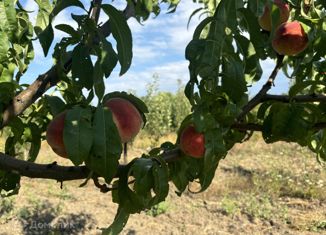 Продаю участок, 1000 сот., село Экономическое, Коммунистическая улица