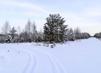 Продаю участок, 13.12 сот., деревня Красный Яр