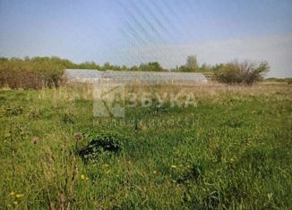 Продам дом, 35.6 м2, село Рогачёвка, Советская улица, 63