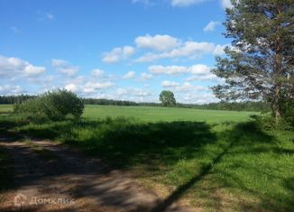 Продаю участок, 15 сот., деревня Вотское, Николаевская улица