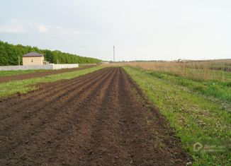 Участок на продажу, 13.42 сот., село Мушковатово, Полевая улица