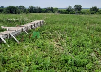 Продаю земельный участок, 15 сот., деревня Репьевка, улица Репьёвка