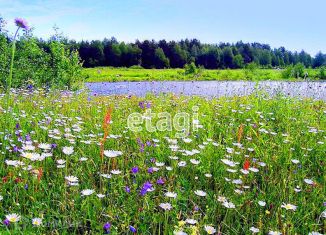 Продаю участок, 50 сот., деревня Луговая, улица Кузнецова