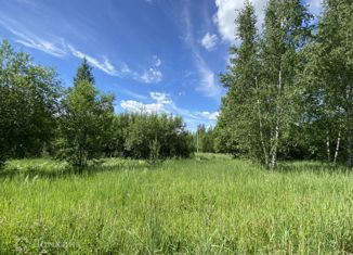 Участок на продажу, 12 сот., село Введенская Слобода, Центральная улица