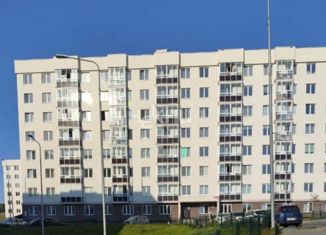 Продажа 2-ком. квартиры, 43 м2, сельский посёлок Новинки, 2-я Дорожная улица, 5