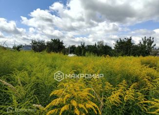 Продаю земельный участок, 5 сот., село Толмачево, Центральная улица