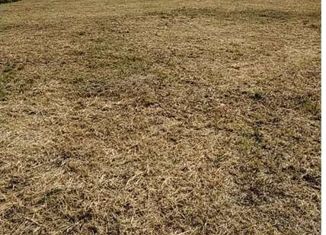 Продажа земельного участка, 5 сот., деревня Золотово, Советская улица, 44