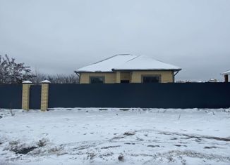 Продается дом, 105 м2, село Репное, Удачная улица, 24