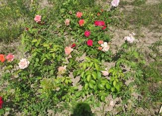 Продам дом, 48 м2, СНТ Рябина