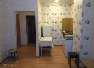 Продаю квартиру студию, 23 м2, рабочий поселок Маркова, микрорайон Берёзовый, 118