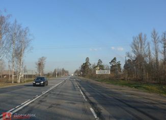 Продается земельный участок, 6 сот., деревня Трубников Бор, улица Мира