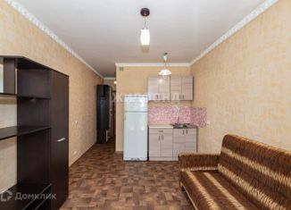 Продается квартира студия, 19.7 м2, Новосибирская область, улица Виктора Уса, 9