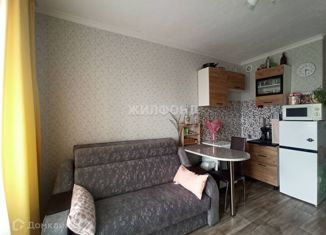 Квартира на продажу студия, 24.3 м2, Новосибирск, улица Адриена Лежена, 38