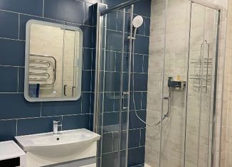 Продается однокомнатная квартира, 32 м2, Новосибирск, улица Ильича, 1, улица Ильича