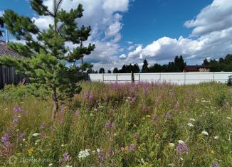 Продам земельный участок, 11 сот., деревня Городище