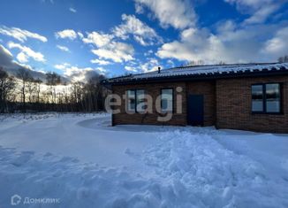 Продаю дом, 110 м2, деревня Хопилово