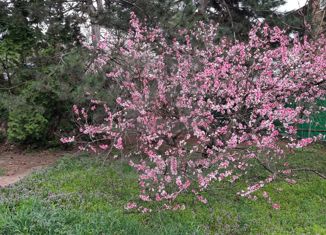 Продажа дома, 50.1 м2, дачное товарищество Водхозовец, Разноцветная улица, 3