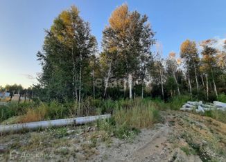 Продаю участок, 11.1 сот., посёлок Палкинский Торфяник