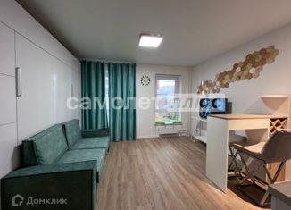 Продается квартира студия, 25.1 м2, Москва, проезд Черепановых, 74, станция Лихоборы