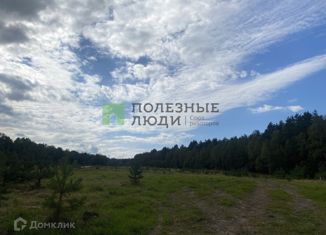 Продается участок, 19 сот., деревня Теняково