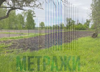 Продаю участок, 29.7 сот., деревня Нижняя Зароща, улица Соловьёва