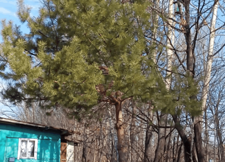 Продам дом, 20 м2, село Ильинка, Совхозная улица