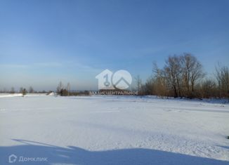 Продажа земельного участка, 293 сот., село Кубовая, Перспективная улица