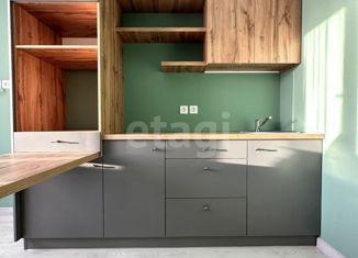 Однокомнатная квартира на продажу, 18.3 м2, Оренбург, Братская улица, 5, жилой район Степной